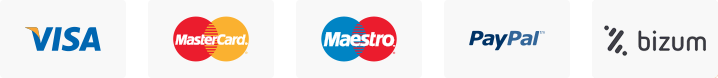 Logotipos de Visa, MasterCard, Maestro, PayPal y Bizum